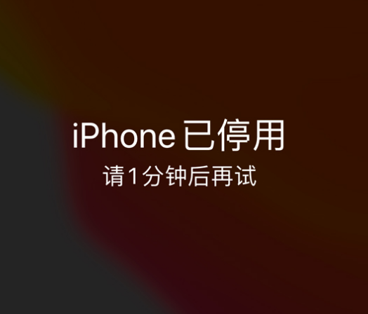 金平苹果手机维修分享:iPhone 显示“不可用”或“已停用”怎么办？还能保留数据吗？ 