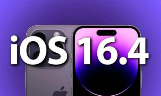 金平苹果14维修分享：iPhone14可以升级iOS16.4beta2吗？ 