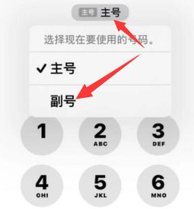 金平苹果14维修店分享iPhone 14 Pro Max使用副卡打电话的方法 