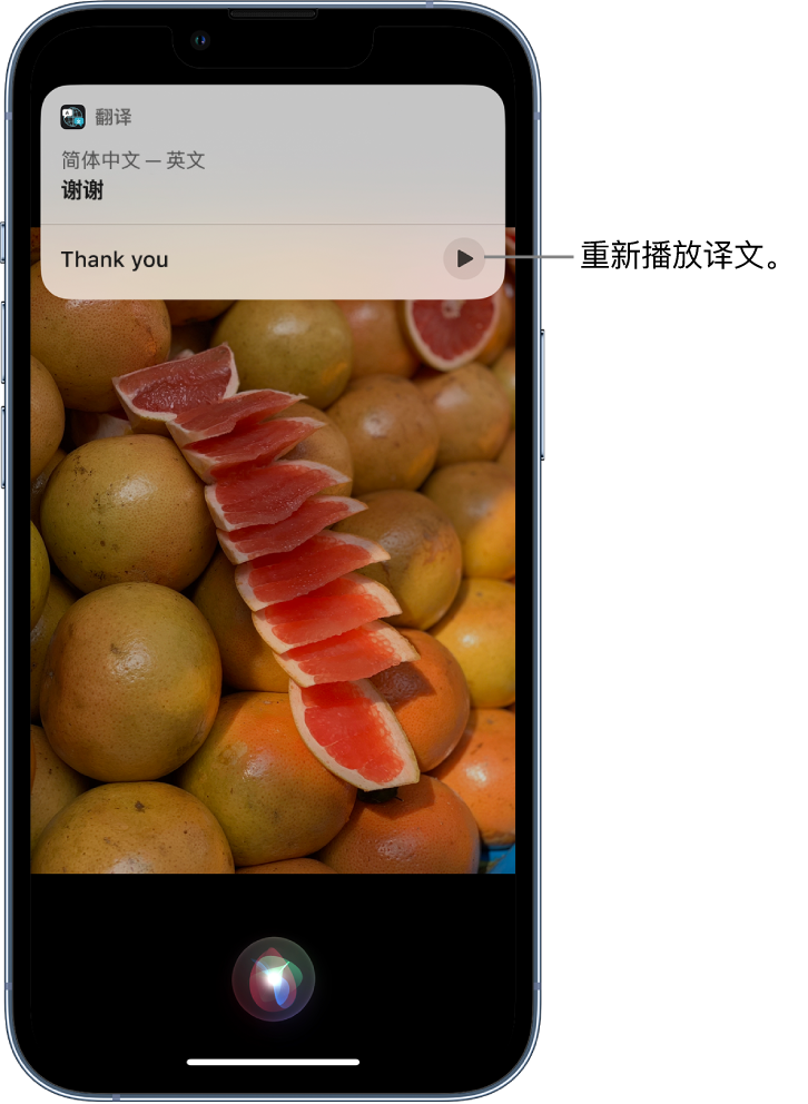 金平苹果14维修分享 iPhone 14 机型中使用 Siri：了解 Siri 能帮你做什么 