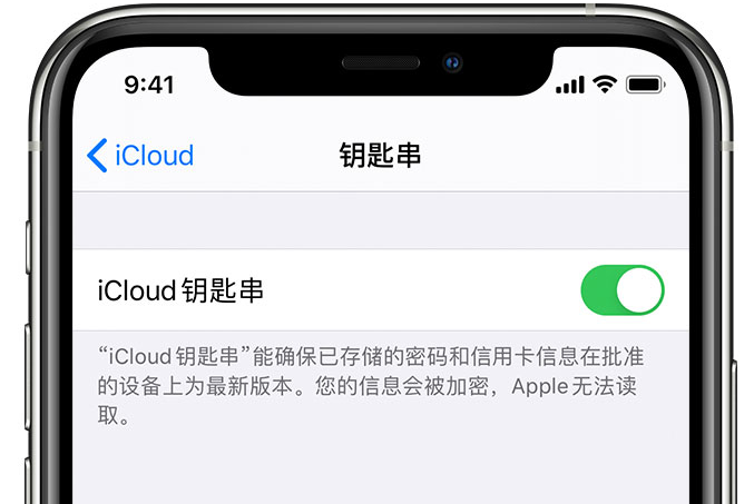 金平苹果手机维修分享在 iPhone 上开启 iCloud 钥匙串之后会储存哪些信息 